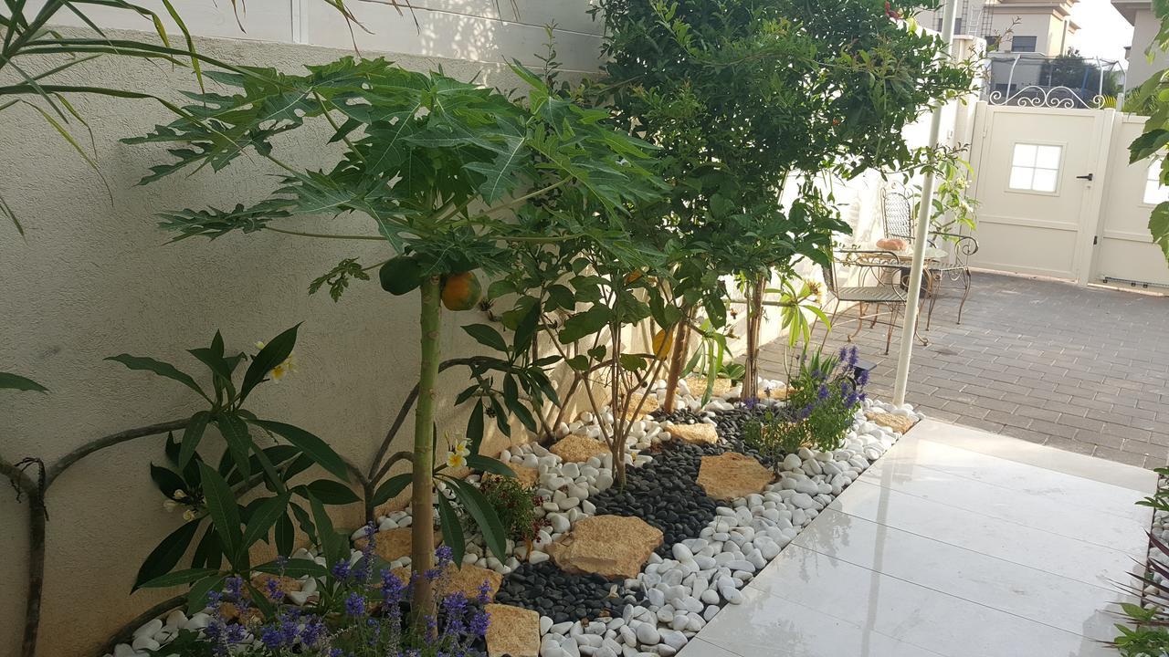 Or Akiva המקום של רג'ינה מראה חיצוני תמונה